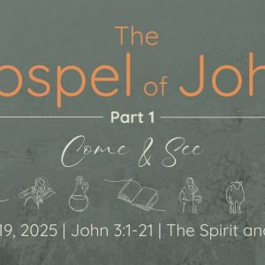 Oct. 19, 2025   |  The Spirit and the Son   |   John 3:1-21