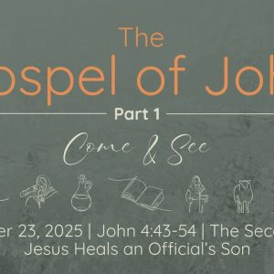 Nov. 23, 2025   | Second Sign: Jesus Heals an Official’s Son |  John 4:43-54